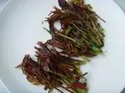 春吃芽,5種芽菜,5個功效,5款做法!