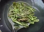 春吃芽,5種芽菜,5個功效,5款做法!