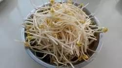 春吃芽,5種芽菜,5個功效,5款做法!