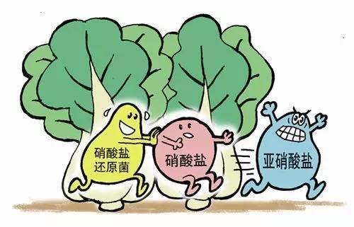 剩飯剩菜這樣處理:剩葷不剩素涼菜都別留