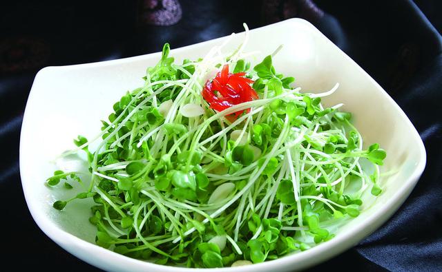 常吃這6種綠色食物!不勞醫生開藥方!別說我沒告訴你!