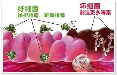 孩子的這幾個症狀是免疫力發出的求救信號，你知道嗎？