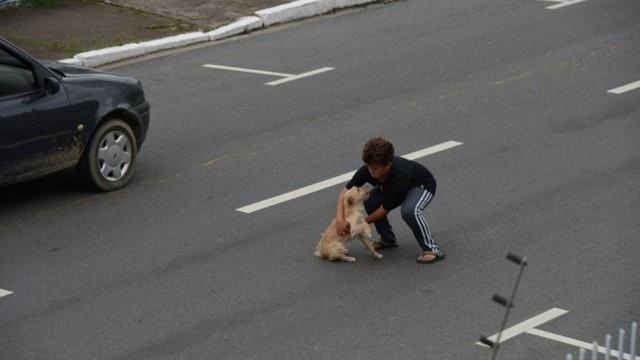 小狗被車撞到馬路中央嚇得發抖，只有一個小男孩願意幫它