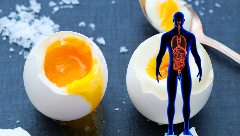 从现在开始每天吃三颗蛋,不仅不会增加胆固醇