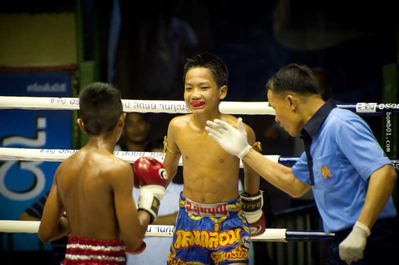 3万名泰国儿童「为了赚90元」在黑市打拳打到