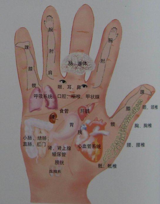 從手指判斷自己健康指數，不相信我們可以一起來看