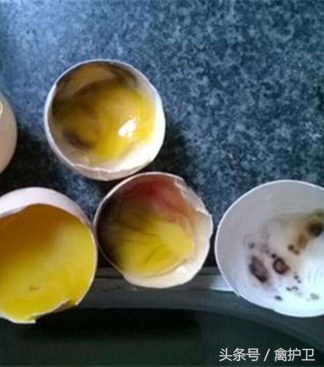 30年養雞專家告訴您，這5種雞蛋不能吃！