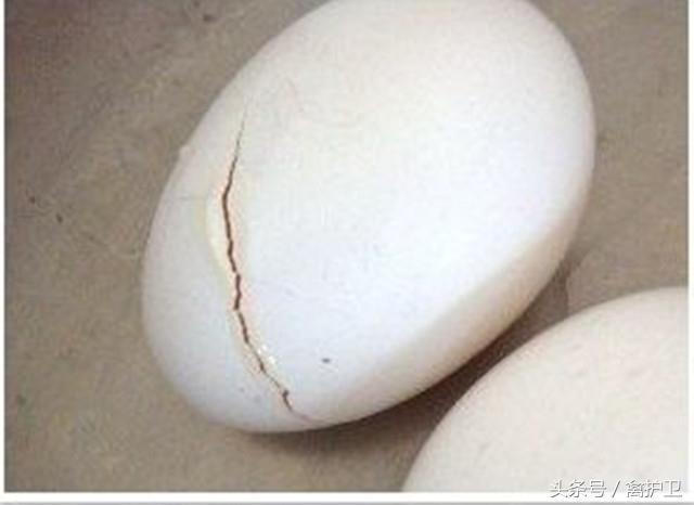 30年養雞專家告訴您，這5種雞蛋不能吃！