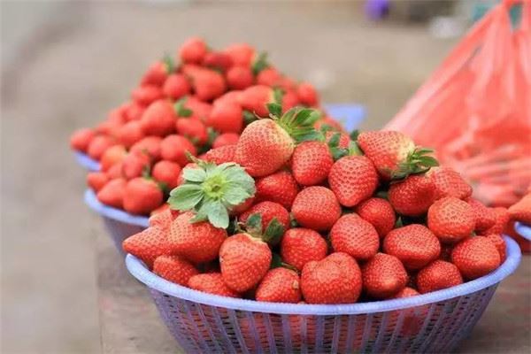 愛吃草莓的朋友要注意，看到「這種草莓」千萬不要買，現在知道不嫌晚，快點告訴家人吧！