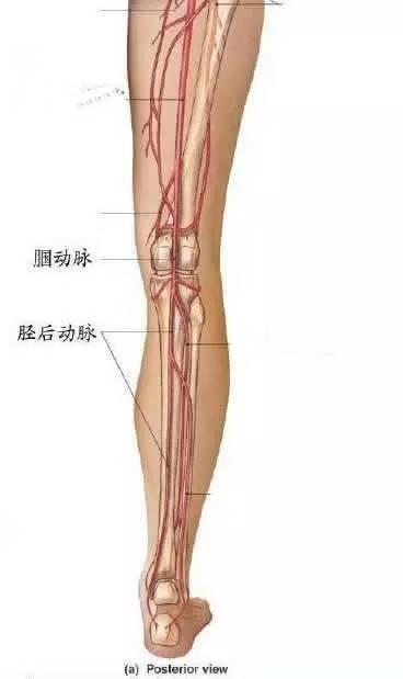 「血管堵塞」只要三步！「一個動作」就能知道你的血管是否堵了，趕緊來測測！