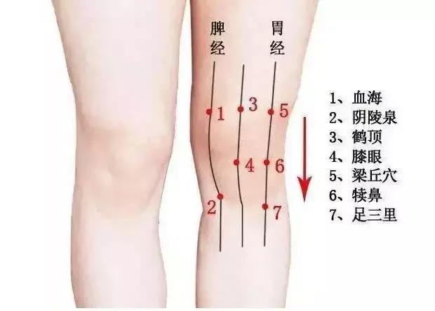膝盖疼最正确的处理方法!只需