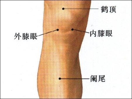 膝關節疼痛，治療捷徑卻在胳膊肘上！中醫之妙讓人嘆為觀止！