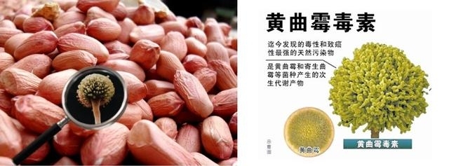 警告！家裡常用號稱純天然的「這種油」竟然是混油還有加化學香精，而且含有劇毒會毒殺人體，一定要趕緊扔掉！