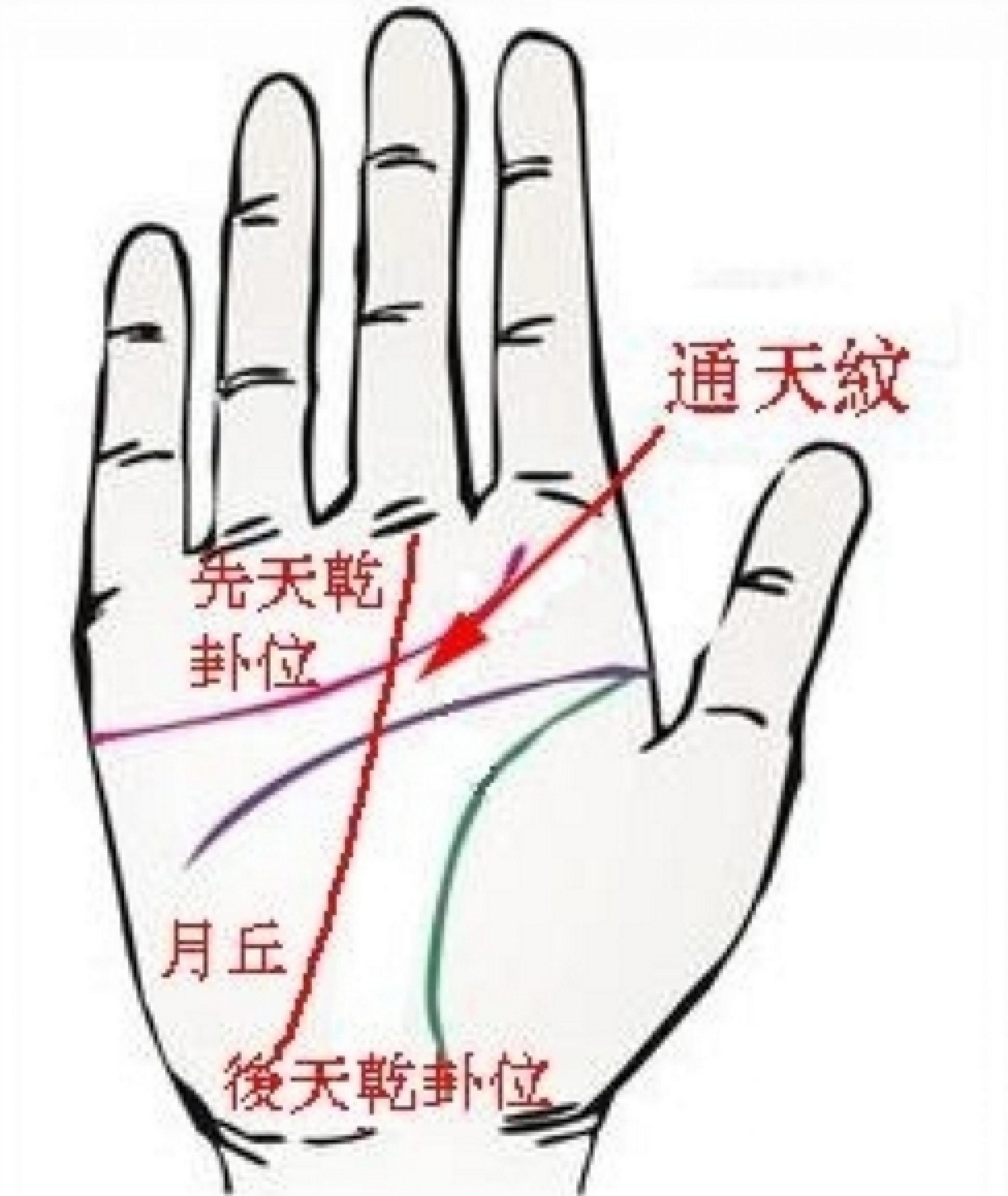 掌纹诊病实用图谱 手掌上有这样的纹络_华夏智能网