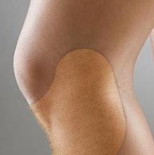 膝蓋疼有救了，一種常見蔬菜，補骨壯骨緩解膝蓋疼痛有奇效