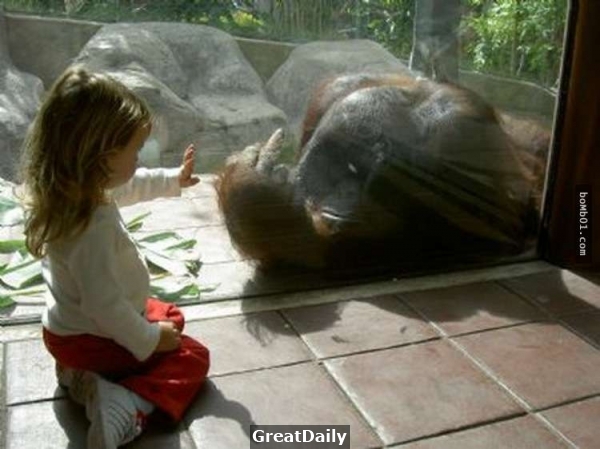 這種東西怎麼可以出現在動物園裡啦！21超傻眼「兒童不宜」的照片...看得我太害羞了啦...！