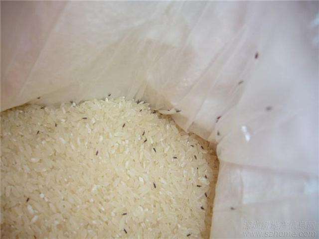 米缸裏放了它，就算放一年大米也不生蟲！持久保持新鮮！ 超實用！
