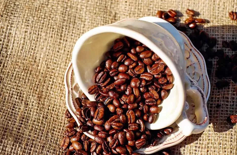 ◐ 咖啡 咖啡中的咖啡因能讓人興奮，保持活力。咖啡因能提高心率，血液中會有更多氧氣，進而燃燒更多卡路裡。但切記，不要選擇奶油及糖過多的咖啡哦~