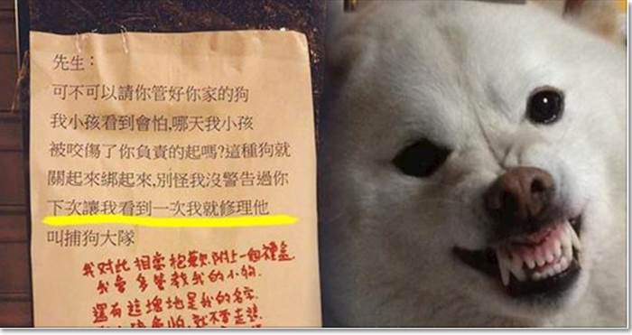 鄰居小孩怕狗留下紙條警告「不把狗綁起來就叫捕狗大隊」狗主人的霸氣回應引發網民熱議！