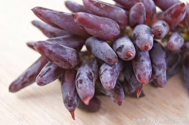 最新培育「辣椒葡萄」！吃過的人都說再也吃不下別的葡萄了！
