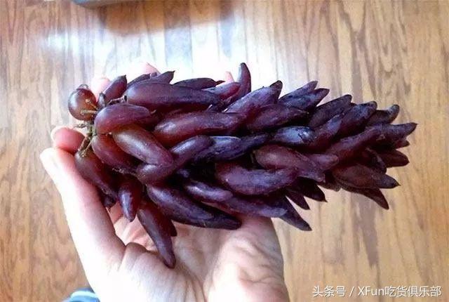 最新培育「辣椒葡萄」！吃過的人都說再也吃不下別的葡萄了！