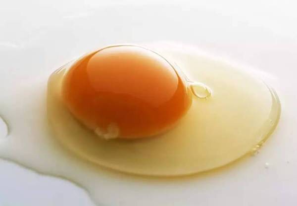  人人都吃雞蛋，卻不知道雞蛋「加一寶」，就能「甩掉老花眼」！這樣吃效果更佳！