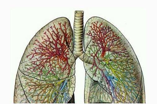注意！肺癌初期難發現，但如果長期出現這4個徵兆，請不要忽視！這些高危人群必看！ 