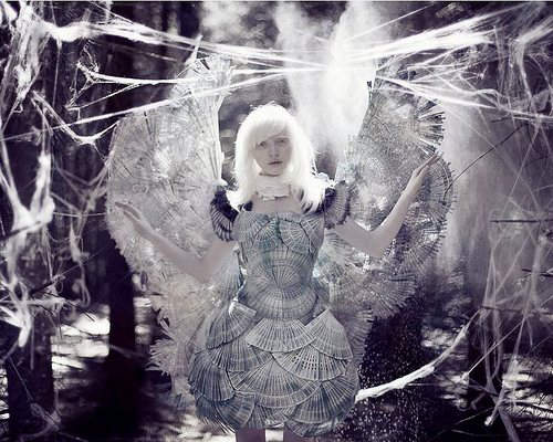 18歲仙氣少女「一身雪白宛如精靈」美翻，但當她「一睜開眼」震撼國際：千萬分之一的天使！ 