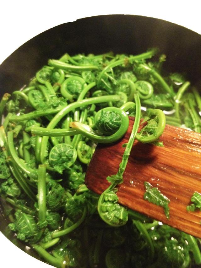 蕨菜怎麼做好吃？11種蕨菜新鮮做法大全，春天做給家人嘗嘗鮮！