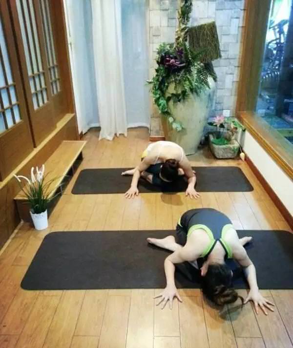 新手入門「瑜伽25式」，每天練一次，肩頸痠痛全消除！