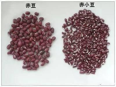 喝红豆薏米去湿，但是很多人却犯了这4个严重错误！