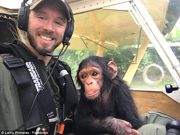 暖男飛行員開飛機「護送可愛黑猩猩寶寶」影片爆紅！「當親生兒子照顧」他：我寧願這一切從沒發生 (影片)
