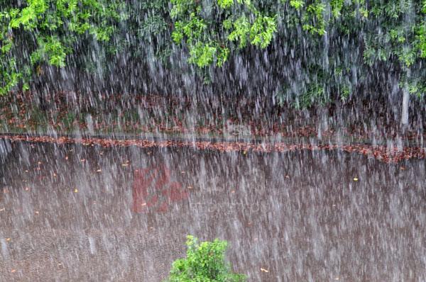 <a>暴雨中</a>，<a>小司機讓老婦搭車</a >，<a>老婆婆落下的一把舊雨傘救了自己一命</a>