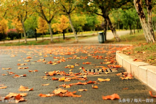 雨，打開了秋……