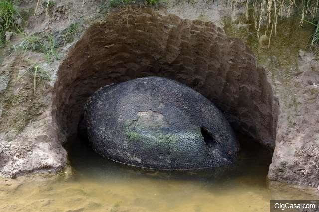 男子意外在河邊發現一顆黑色巨石，挖出來後讓考古學家震撼不已！