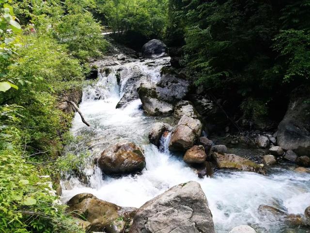 旅行居然能治病！看完發現真的該去旅行了……