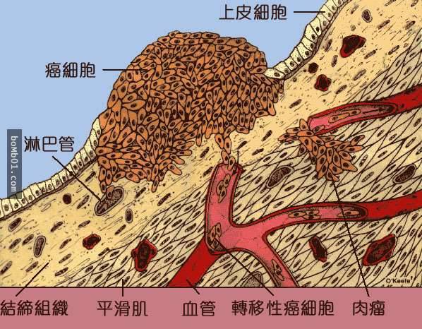 喝白開水就能預防癌細胞滋生，關鍵就在於一個簡單到不行的步驟！