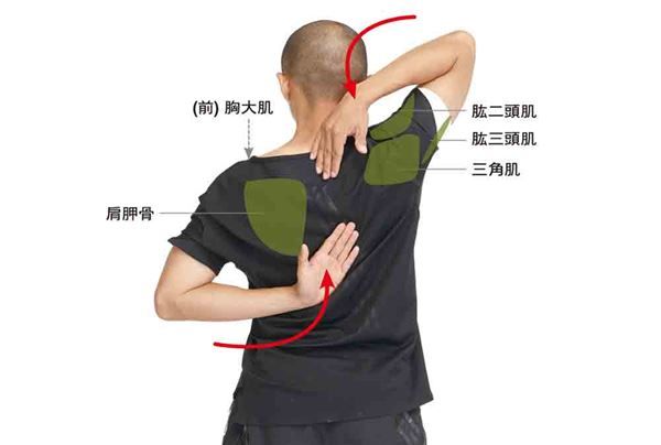 痠痛、五十肩、肩頸僵硬常上身？學會3伸展操改善！ 