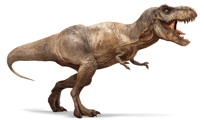 從小被騙到大！恐龍其實「根本沒滅絕」地球上唯一倖存的恐龍是牠們：竟然不是鱷魚？