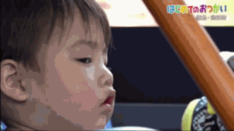 為了祭奠在天堂的爸爸，4歲的哥哥帶著2歲的弟弟坐車去買花，過程讓日本網友淚奔