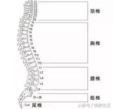 睡前一招，養護人體第二生命線！防治幾十種病