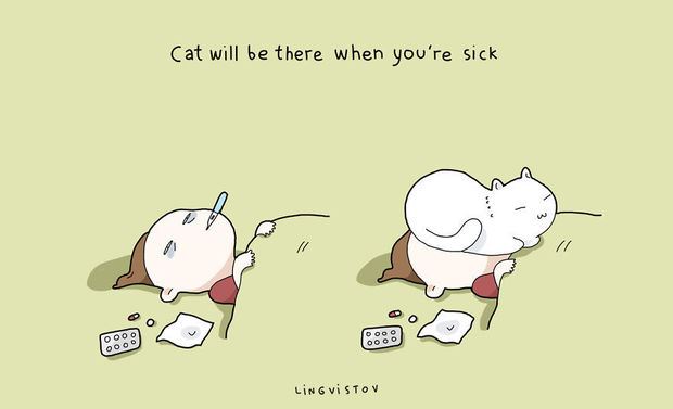 「生病？坐你臉上你就會好了！」貓咪教會我的21件事，每張圖都深深戳進養貓人的心坎裡！ 