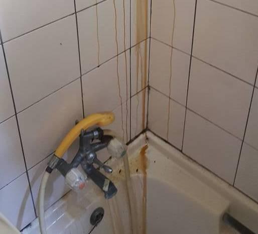 女子家中洗澡，發現天花板有黃色液體流出，抬頭一看大喊「賺大了」