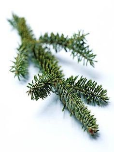 A Russian man had a 2-inch fir tree growing inside his lungs.
