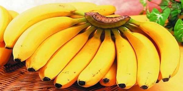 19歲女生患大腸癌喪命！醫生告誡：香蕉和它一起吃比「砒霜」還毒