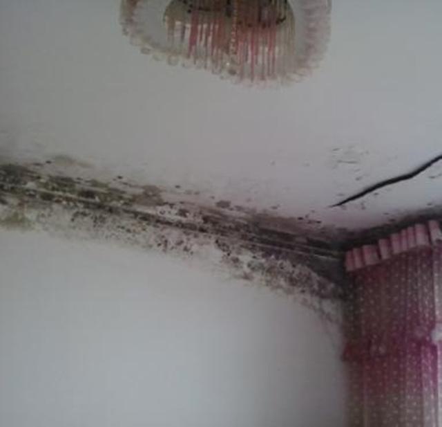 一旦家裡發黴牆壁變髒了，以下這種辦法，可以讓你家煥然一新！