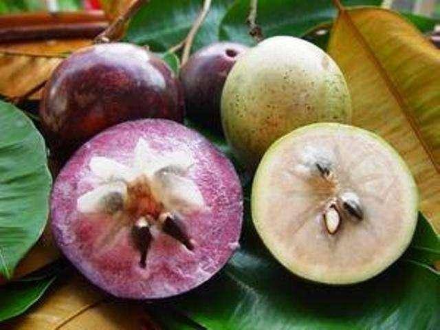 這些「罕見的水果」你吃過幾種？「這種樹」居然長出香腸了，味道還超甜！ - 美麗日報 Life