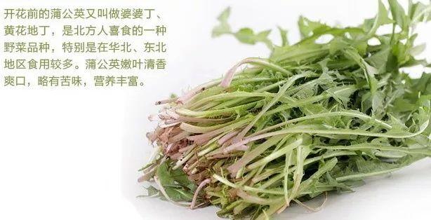 它是「藥草皇後」，泡水喝護肝腎強免疫，春天吃最好！藥店就有，很便宜