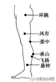 全身經絡梳理法，整理簡潔實用版，有空按步驟多梳理！