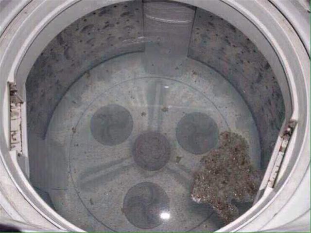 洗衣機60天不洗，細菌增長12倍，一個土招，三年不用清洗！ 